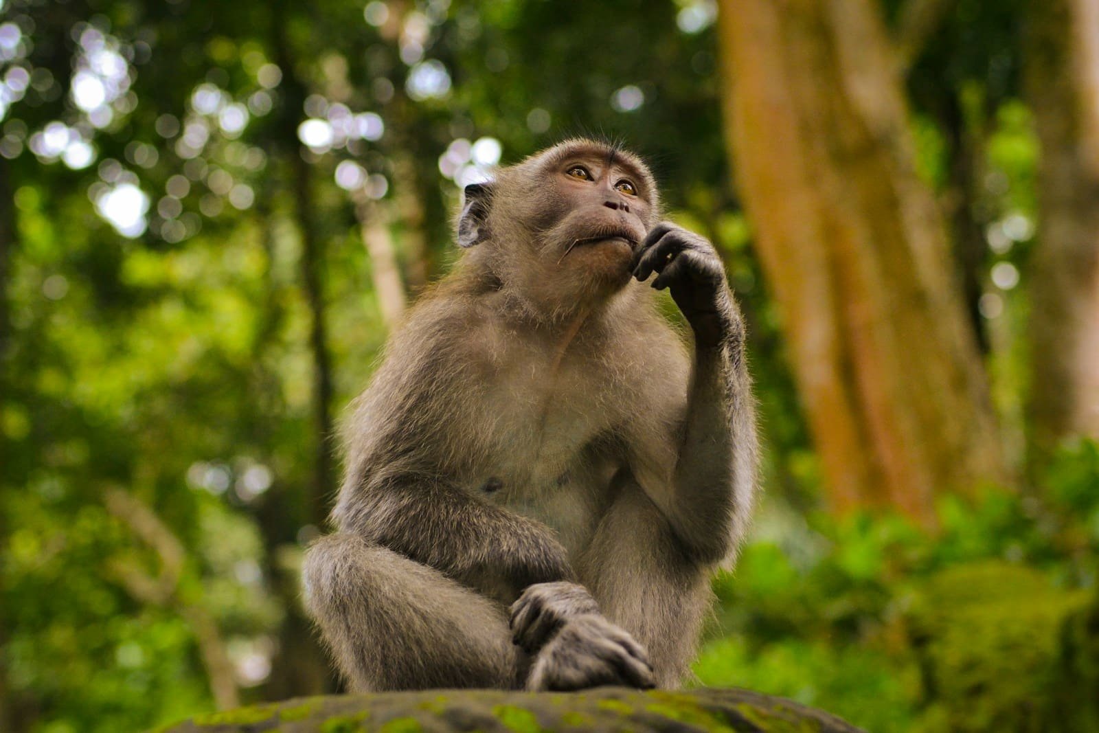 faster thinking skills