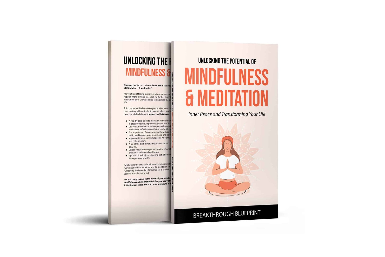 Mindfulness & meditation 3d