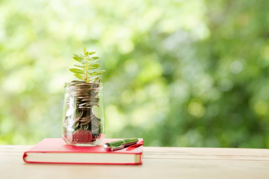 Plant growing in savings coins