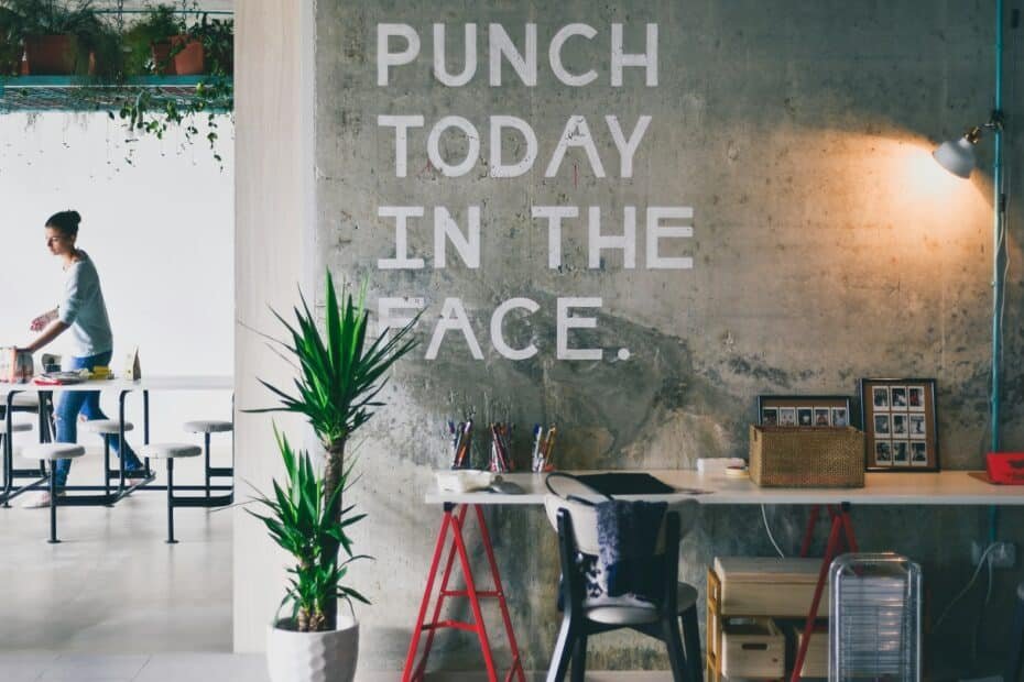 Green plant beside white desk